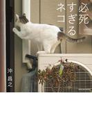 写真集 必死すぎるネコ