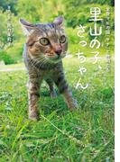 里山の子、さっちゃん