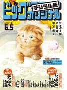 ビッグコミックオリジナル　2018年11号(2018年5月19日発売)