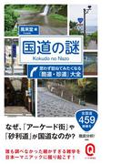 国道の謎　思わず訪ねてみたくなる「酷道・珍道」大全(イースト新書Q)