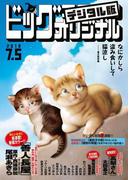 ビッグコミックオリジナル　2018年13号(2018年6月20日発売)