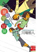 算数宇宙の冒険(実業之日本社文庫)