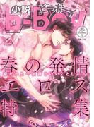 小説ビーボーイ　発情エロス特集（2018年春号）(小b)