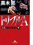 トリプルA 小説 格付会社 下(幻冬舎文庫)