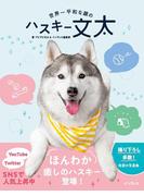 世界一平和な顔のハスキー 文太