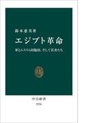 エジプト革命　軍とムスリム同胞団、そして若者たち(中公新書)