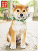 和風総本家二十代目豆助オフィシャルフォトブック