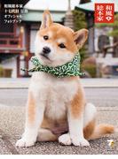 和風総本家十七代目豆助オフィシャルフォトブック