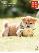 和風総本家十六代目と十五代目豆助オフィシャルフォトブック