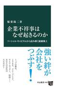 企業不祥事はなぜ起きるのか　ソーシャル・キャピタルから読み解く組織風土(中公新書)