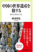 中国の世界遺産を旅する　響き合う歴史と文化(中公新書ラクレ)