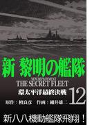 新黎明の艦隊(12) 環太平洋最終決戦 ―黎明の艦隊コミック版―