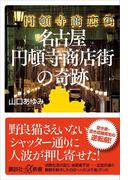名古屋円頓寺商店街の奇跡(講談社＋α新書)