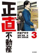 正直不動産　3(ビッグコミックス)