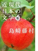 【16-20セット】近現代日本の文学