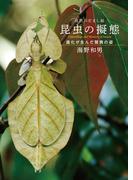 自然のだまし絵 昆虫の擬態