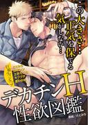 デカチンH性欲図鑑