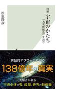 図解　宇宙のかたち～「大規模構造」を読む～(光文社新書)