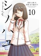 シノハユ the dawn of age 10巻(ビッグガンガンコミックスSUPER)