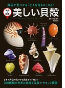美しい貝殻(学研の図鑑)