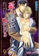 憂う城主は囚われる(ガッシュ文庫)