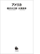 アメリカ(河出新書)