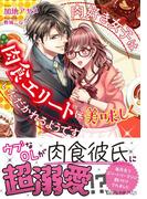 肉好き女子は肉食エリートに美味しくいただかれるようです(ヴァニラ文庫)
