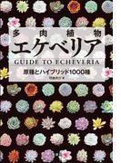 多肉植物エケベリア