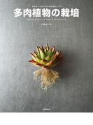 多肉植物の栽培