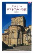 カラー版 スペイン・ロマネスクへの旅(中公新書)