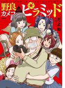 野良カメコのピラミッド