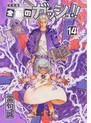 金色のガッシュ！！ 完全版（14）