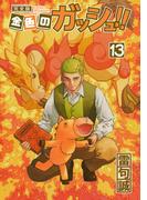金色のガッシュ！！ 完全版（13）