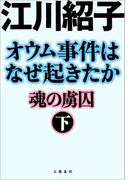 オウム事件はなぜ起きたか　魂の虜囚　（下）(文春e-book)