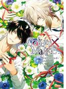 Collar×Malice -Unlimited- 公式ビジュアルファンブック(B's-LOG COLLECTION)