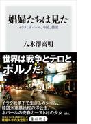 娼婦たちは見た　イラク、ネパール、中国、韓国(角川新書)