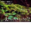 世界で一番美しいかくれんぼ　　～Ｈｉｄｄｅｎ　ｉｎ　Ｎａｔｕｒｅ ～