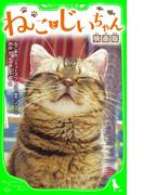 ねことじいちゃん　映画版(角川つばさ文庫)