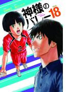 神様のバレー　１８巻(芳文社コミックス)