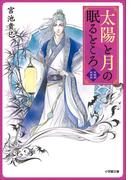 太陽と月の眠るところ　紫微国妖夜話(小学館文庫キャラブン！)