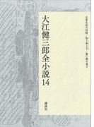 大江健三郎全小説　第１４巻(大江健三郎　全小説)