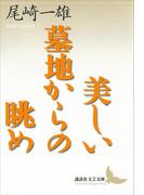 美しい墓地からの眺め(講談社文芸文庫)
