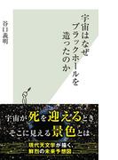 宇宙はなぜブラックホールを造ったのか(光文社新書)
