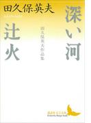 深い河・辻火　田久保英夫作品集(講談社文芸文庫)