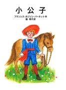 小公子(岩波少年文庫)