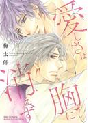 愛しさは胸に消えず(ルチルコレクション)