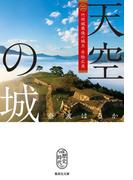天空の城　竹田城最後の城主　赤松広英(集英社文庫)