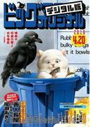 ビッグコミックオリジナル　2019年8号(2019年4月5日発売)