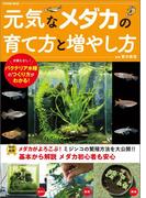 元気なメダカの育て方と増やし方