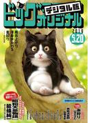 ビッグコミックオリジナル　2019年10号(2019年5月2日発売)
